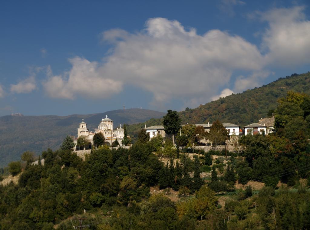 Pelion Goddess Villas Agios Georgios Nilias Pokój zdjęcie