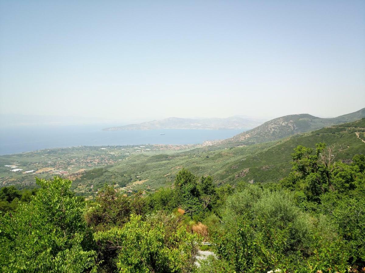 Pelion Goddess Villas Agios Georgios Nilias Zewnętrze zdjęcie
